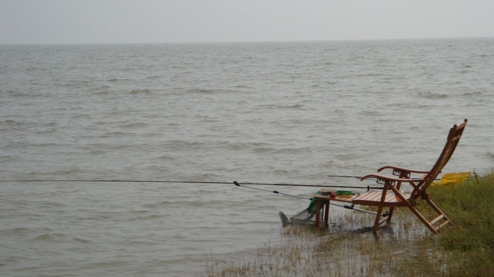 黑鱼|入夏之后，作钓技巧从这7个方面来调整，不愁渔获不够多，莫不信