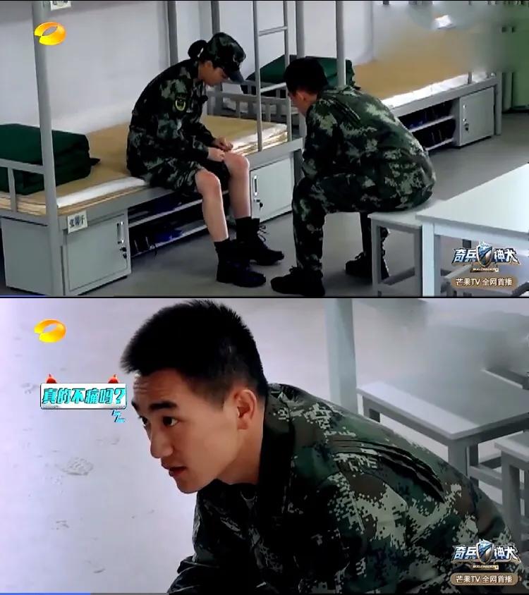 张馨予|凭老公成功翻身！张馨予最新采访疑暗踩李晨，反观范冰冰令人唏嘘