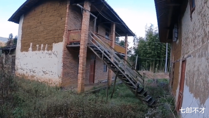 七郎不才 福建深山内的“豪宅”：2位老人守着5栋房子，“藏”在竹林深处