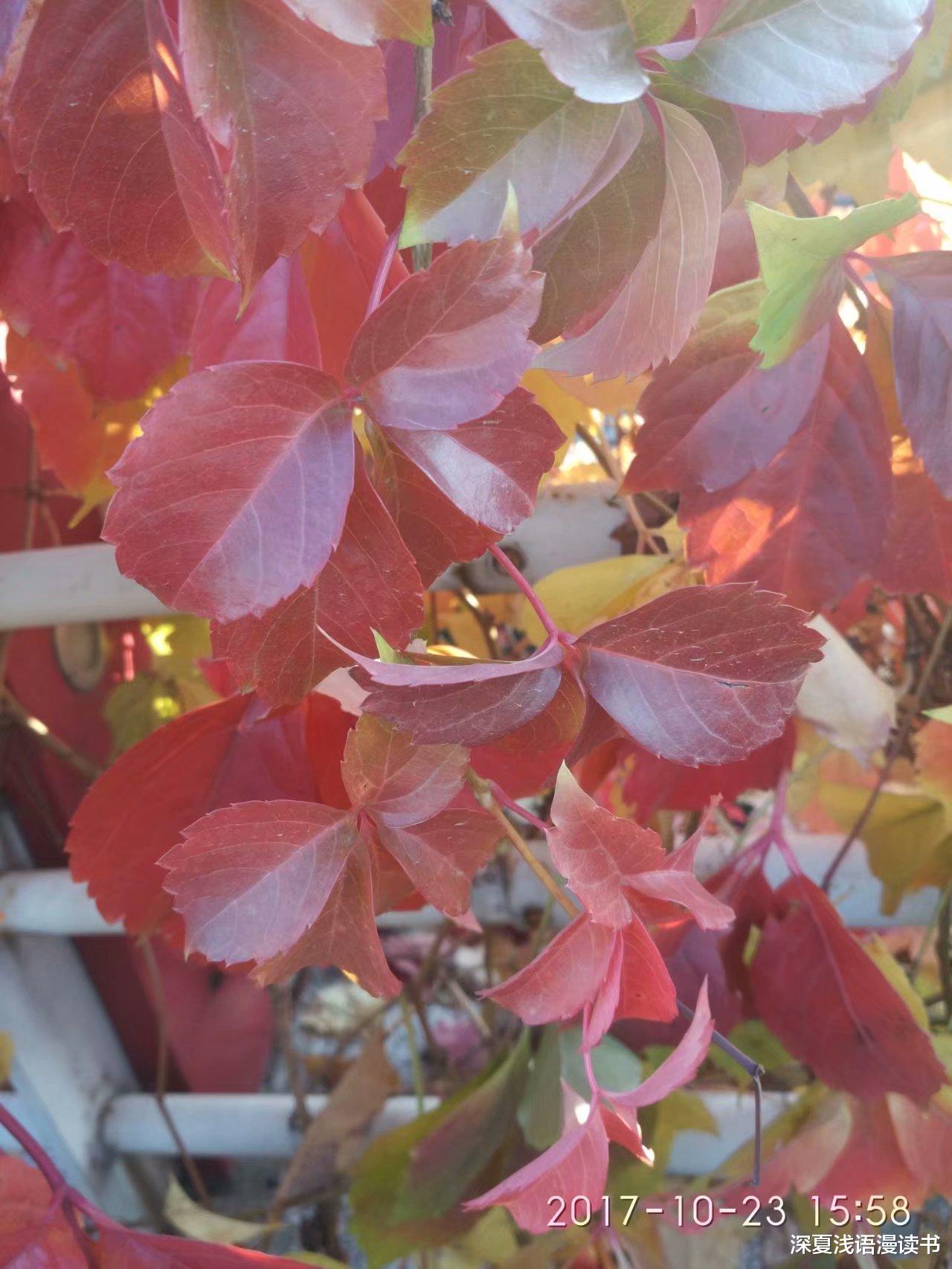 霍格沃茨魔法学院|高中记23：生活充满变数，选科看职业靠谱吗？