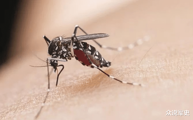 基因 蚊子在地球上有什么作用？如果全部灭绝了，会有什么严重后果？