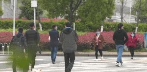 东丞侃天下 好想你，在武汉封城期间陪伴了我2个月……现在，你在哪？