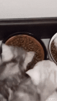 鑫宝聊育儿|“马赛克”的确不可以随意打,特别是对女孩...哈哈哈哈长相果然是硬伤!