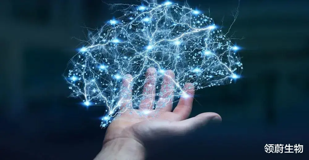 为什么要补充干细胞?定期补充干细胞,让身体处于最佳状态