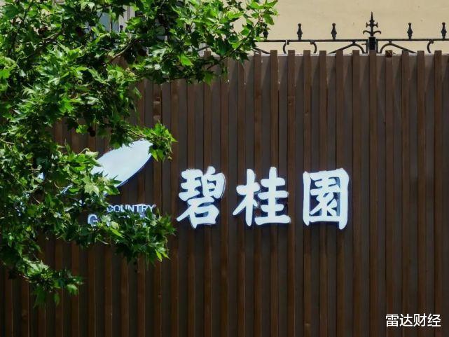 富阳区|碧桂园年末销售失速，销售额远低于万科，还面临1.74万亿负债压顶
