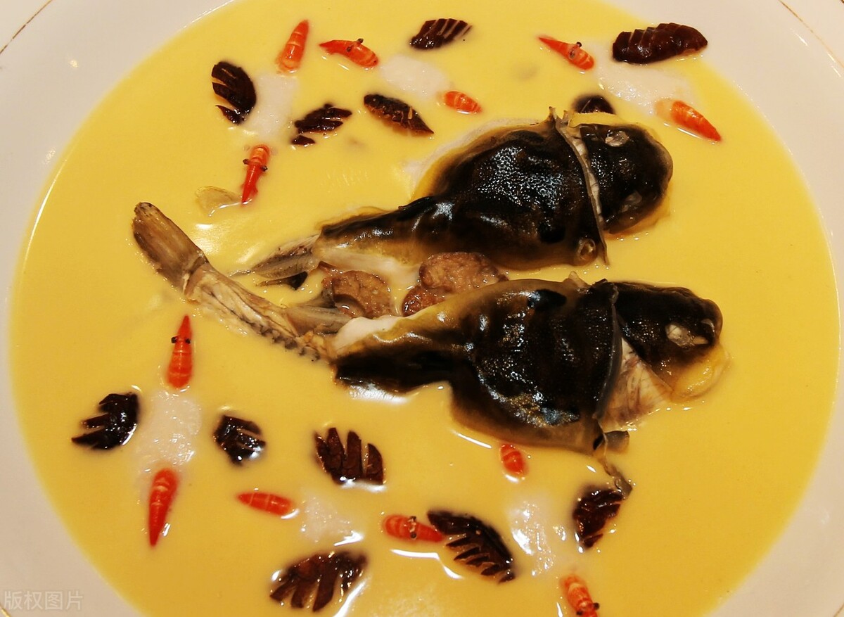 科学家 河豚本身含有剧毒，却还是有人非常爱吃河豚，真的有那么好吃？