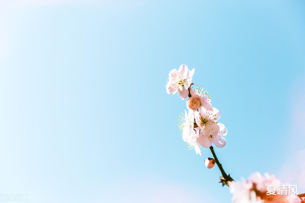 夏晴风|谁能真正陪你到最后(很心酸)