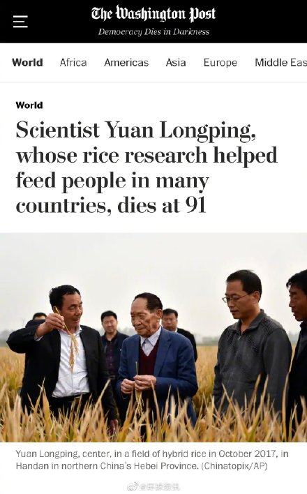 无处安放的艺术 这一次,外媒集体为袁隆平刷屏.他的水稻研究,帮助养活了全世界