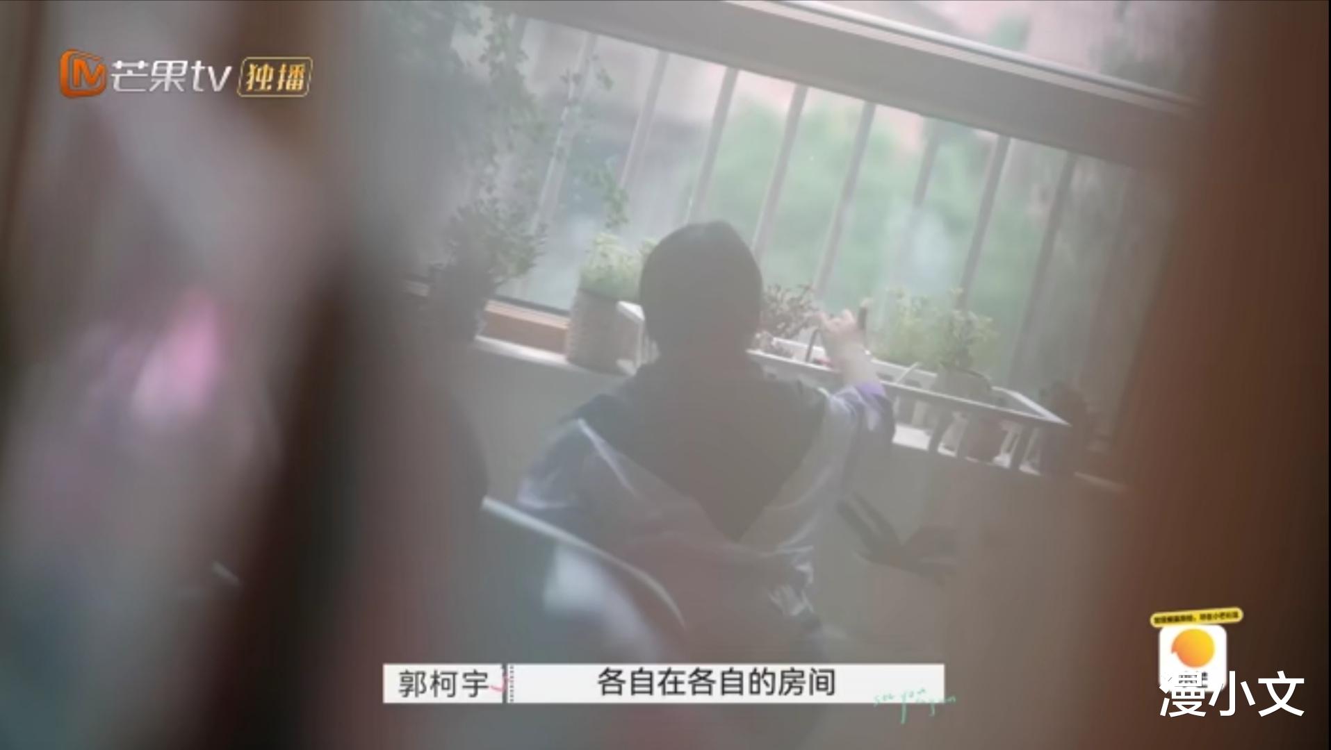漫小文|再见爱人：离婚一年的章贺郭柯宇，他们处成了离婚后最好的模样