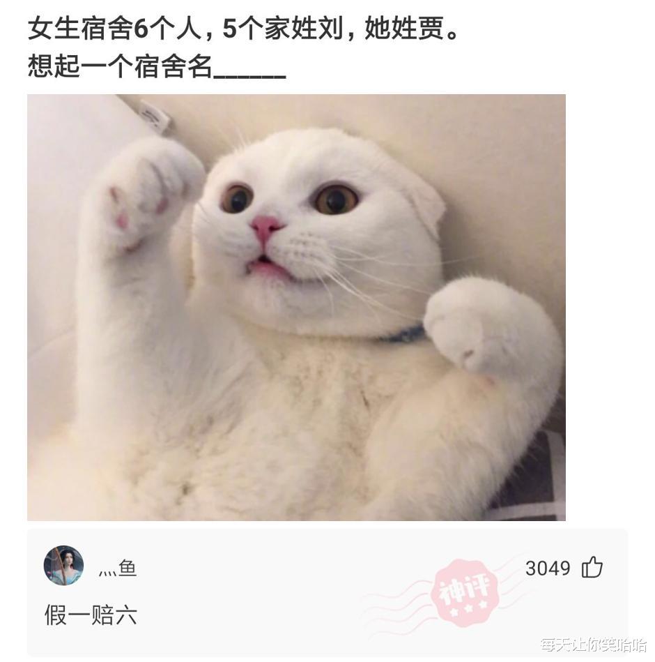 神回复|神回复：日本天皇19岁独生女照片流出，评论区里炸锅了，神评绝了