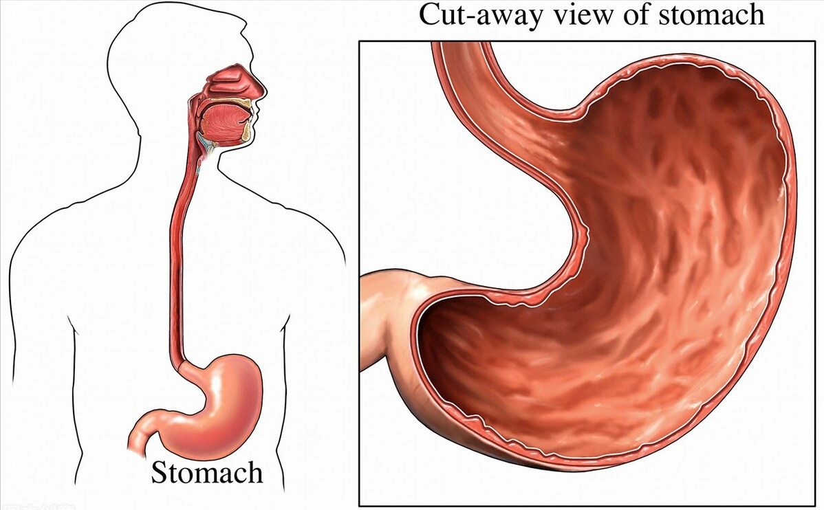 鸡蛋|伤胃早餐已公布，鸡蛋上榜，第二名你可能经常食用，尽早拉入“黑名单”