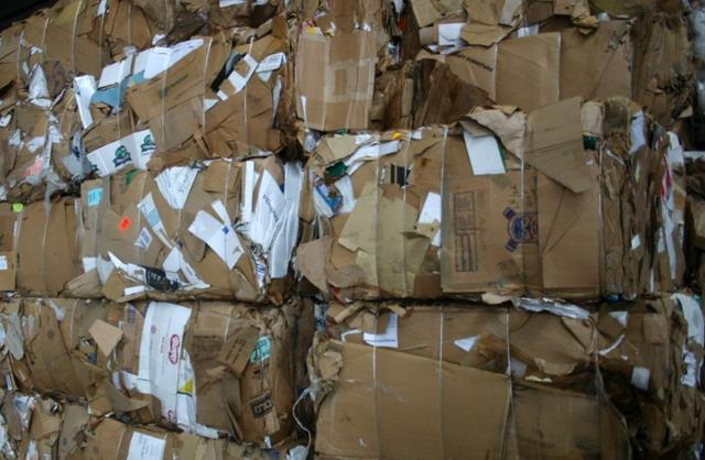 陈媛说 废品也能变为“宝”？同一天内涨价两次，各大厂家还在“抢着”要