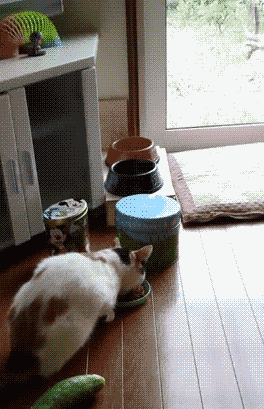 萌萌萌说|“有男友和没男友有什么区别？”听说只有老司机才懂！哈哈哈哈哈