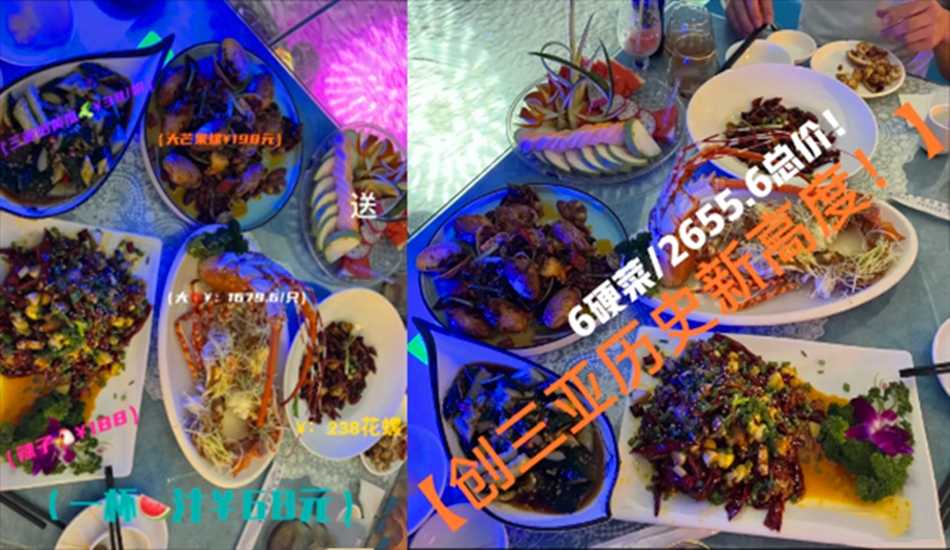 主人公 三亚通报“游客吃海胆蒸蛋没海胆遭威胁”，当事人表示不接受