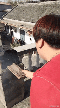 “女朋友设计出了结婚的婚房,看起来怎么样?”就差钱了