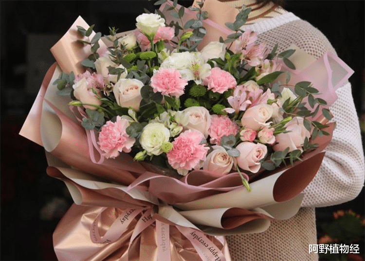 看望病人送什么花好?有4个方面需要考虑周全,这样才会送到心上