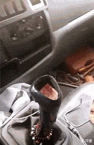 苏月瑾|“为什么女生可以这样蹲，男生却不行？”