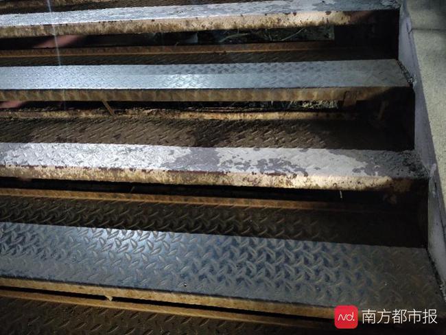 南方都市报 广州大学最新回应：上下课高峰期将开放封闭的人行道！