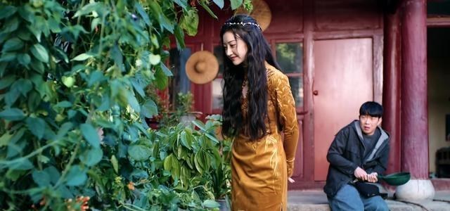 司藤|《司藤》秦放为什么能唤醒沉睡数十年的司藤