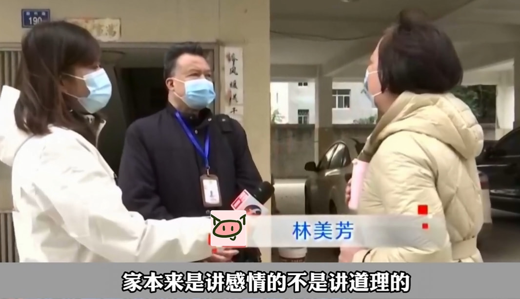 女子沉迷赌博输光家产,跑回娘家分弟弟房子:家要讲感情不讲道理