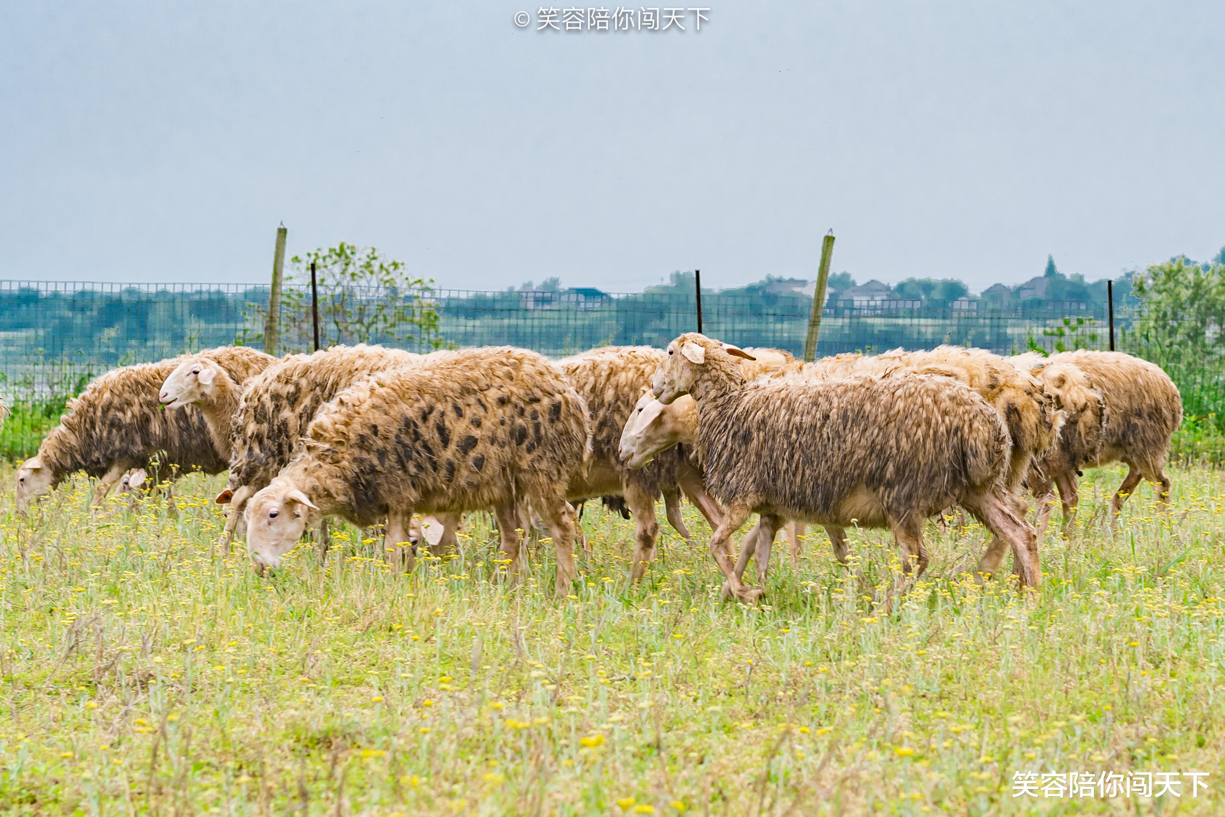 福建省 安徽旅行的新去处，太小众了，很多人都没去过。
