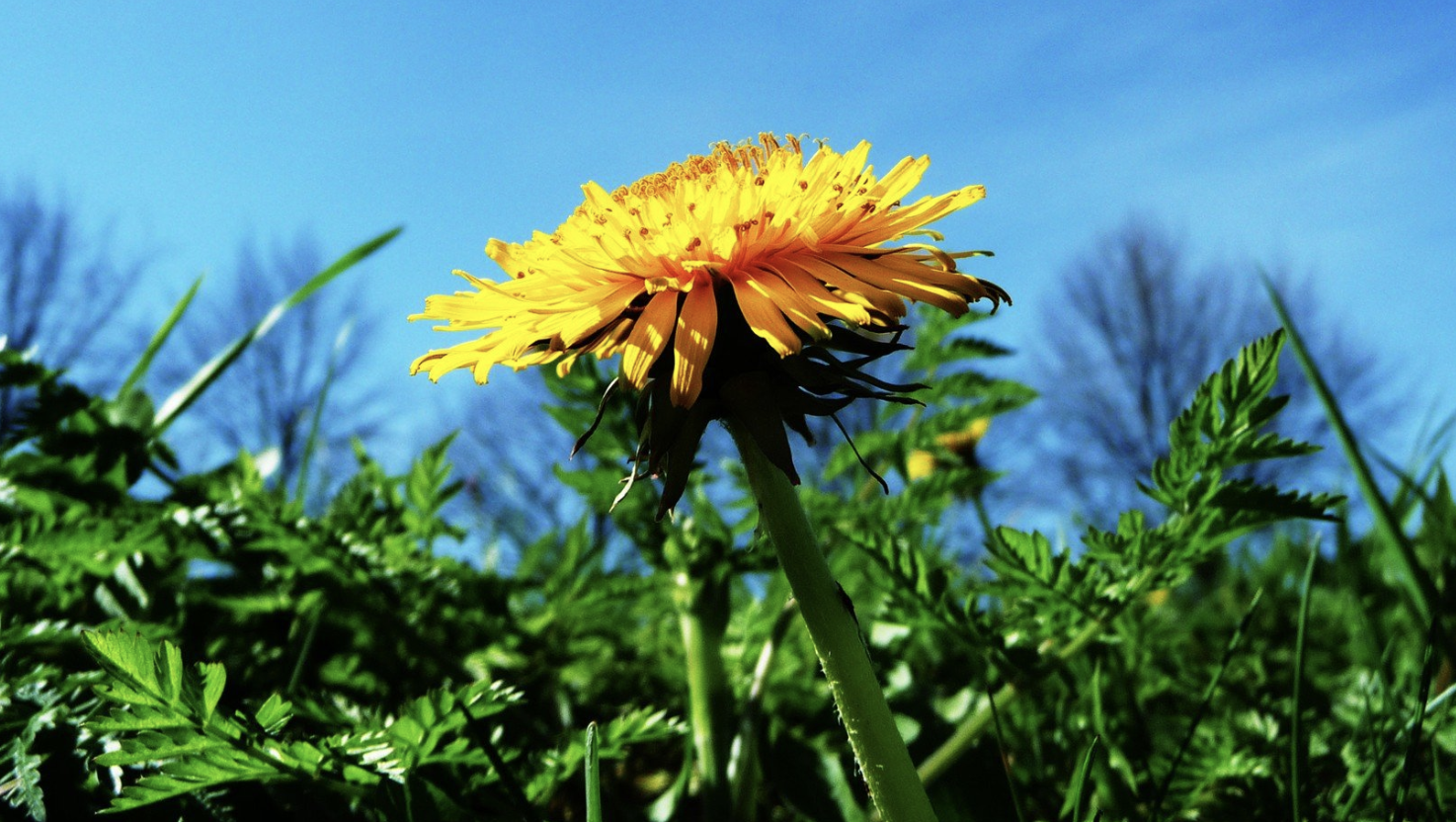 生肖|9月底，桃花重开，解锁爱情，月老推动，3生肖情缘深厚，越来越爱