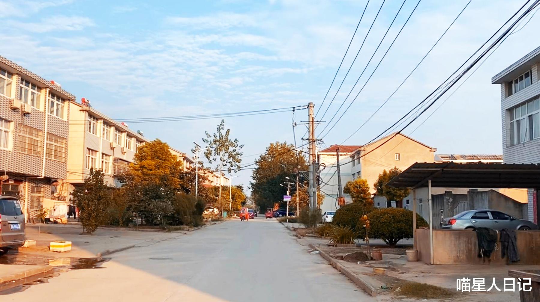 武汉|武汉郊区有座黄家大塆：民房建在田地乡道边，每户都是别墅式生活