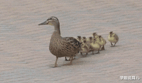 学姐说育儿|“早上在公园发现的,这里是不是发生了大战啊?”哈哈哈!