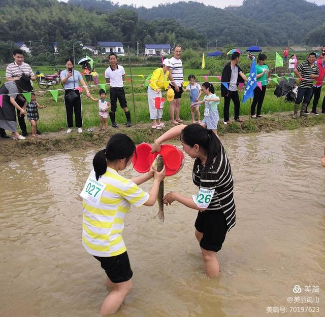 岳阳广电 华容县禹山镇第二届“泥鳅节”欢乐来袭