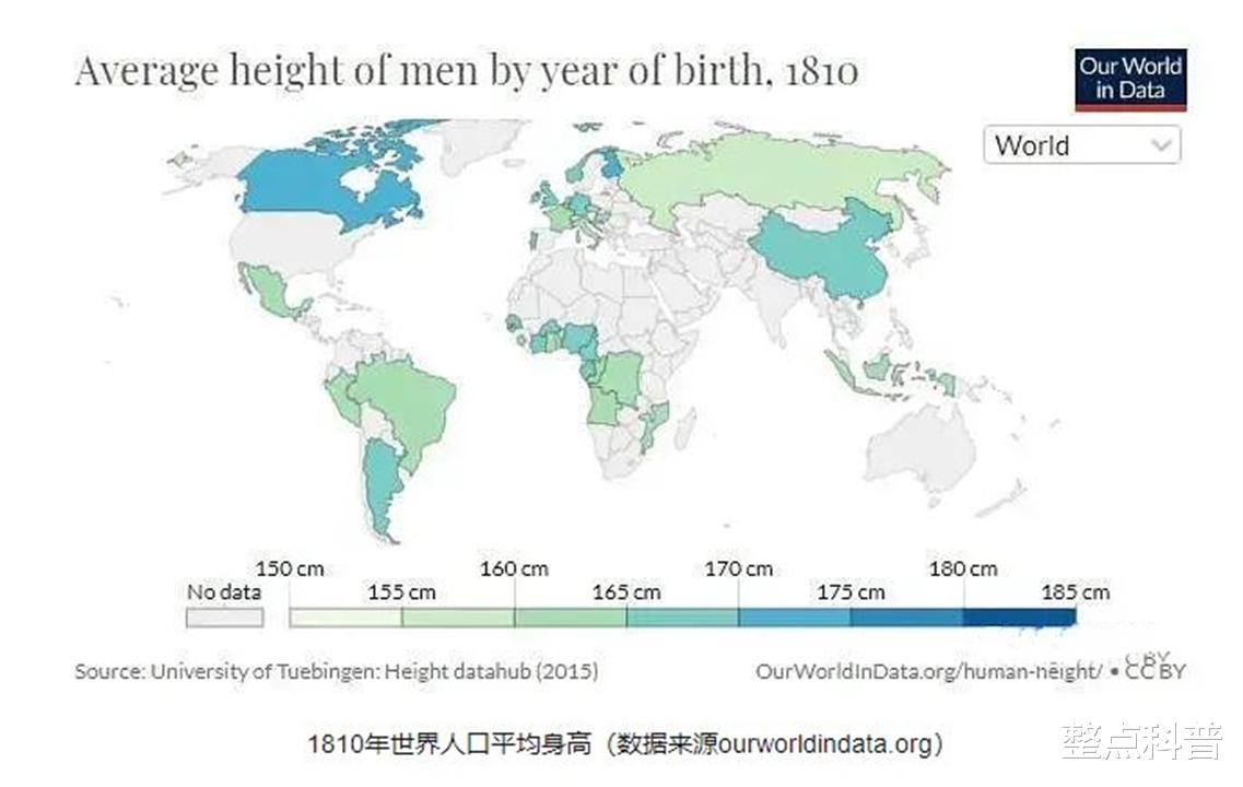 白种人为什么普遍比黄种人更高大强壮,仅仅只是基因遗传吗?