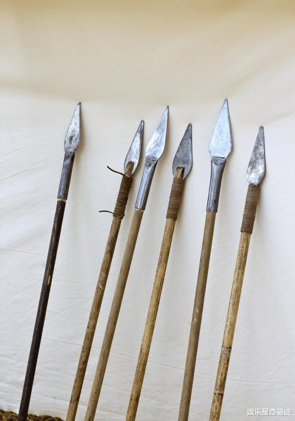 科学家 身体防御属性很低,为何野生动物却很少攻击人类?