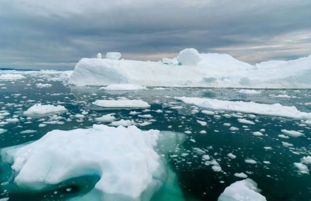科学家警告:北极植物高度大幅增加,变得生机盎然!或会引发灾难