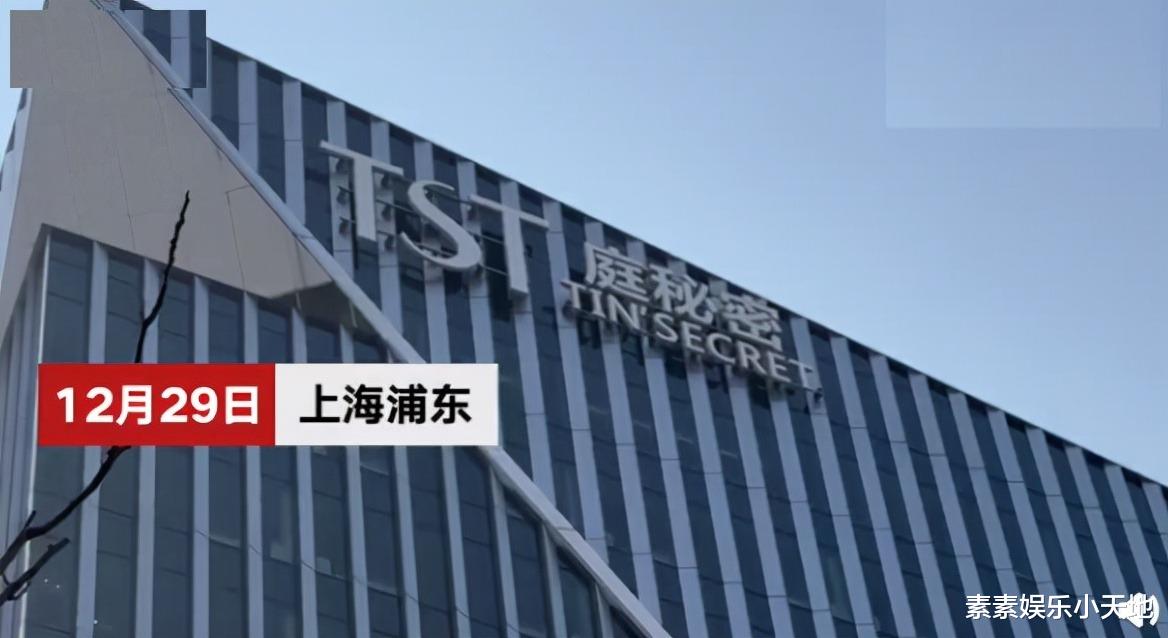 张庭|张庭夫妇会不会坐牢？他们早就预料到了经营风险，公司是VIE架构