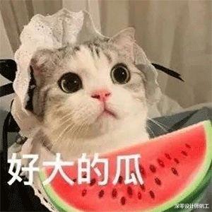 你掉过熟人装修的坑么? 说多都是泪! 破坏承重墙后面有是你哭的