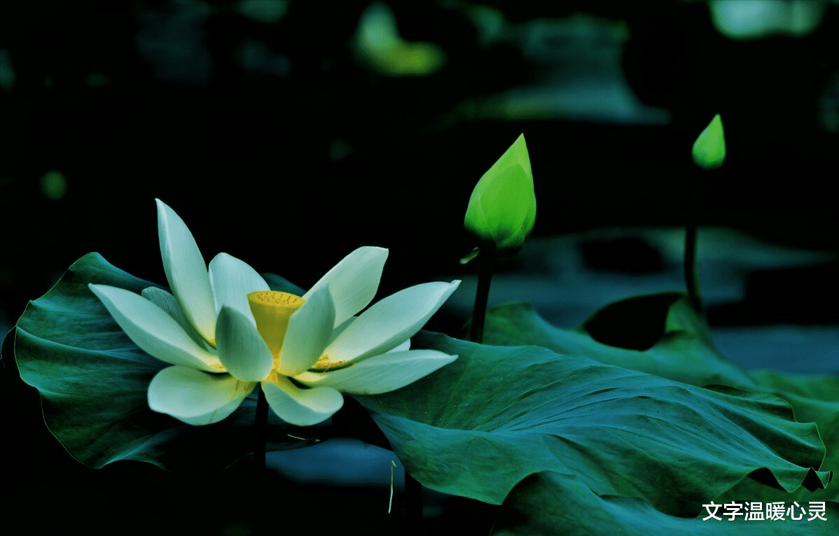 腹泻|人到中年，最高级的养生，不是睡觉，不是锻炼！而是这个“少”字！