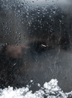 小可娱乐第一线 我要记住你们的样子，夏德昭、杨伯达、吴孟超、袁隆平爷爷一路好走