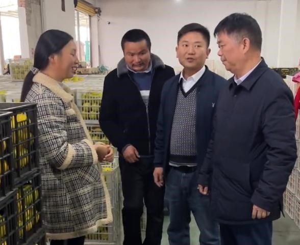 小春花助农直播再翻车,怀孕还去摘果实,发一个作品掉粉1W