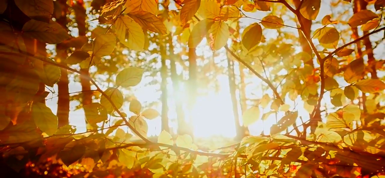 基因 地球与人类的前世今生,以及未来,你了解吗?