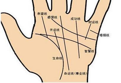 杨坤说生肖命理|这几种手相的女人财运好