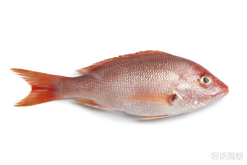 轻谈健康|吃鸡屁股到底有没有营养?哪些食物还不能随便吃?听听医生怎么说