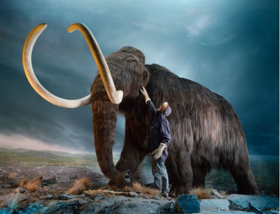 濒危物种 第六次大灭绝已开始,人类有办法躲避吗?地球恢复平衡需要多久?