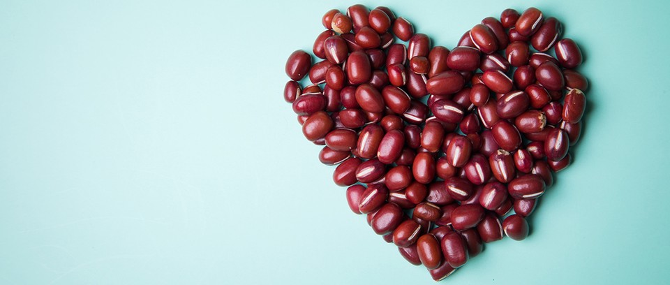  我们能把有毒植物变成可食用的作物吗？