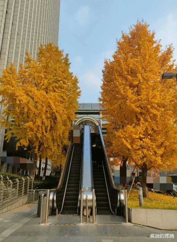 90后|90后男子驾车去一家新公司面试,面试官:入职前需要缴纳岗前培训费