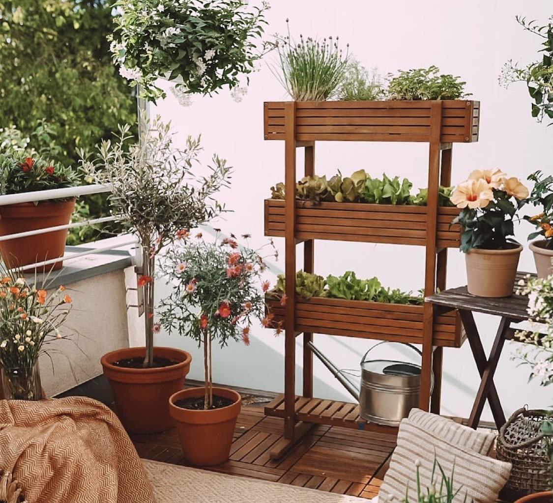 参观完她家，才知道什么叫高级！全屋绿植环绕，精致生活惹人羡慕