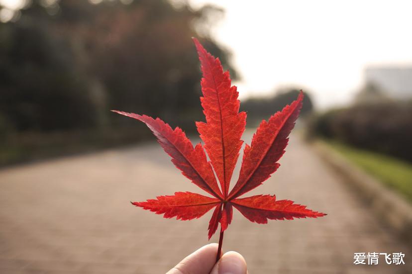 爱情飞歌|人生苦难重重,唯有自渡,方能解脱