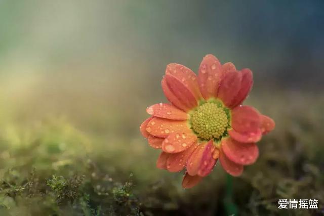 爱情摇篮|人生在世，做好两件事就够了，别明白太晚