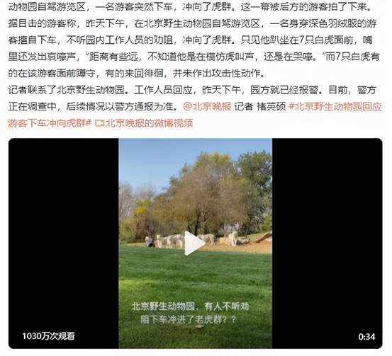 北京男子参观白虎时下车，蹲在白虎面前挑衅，老虎为何不咬他？