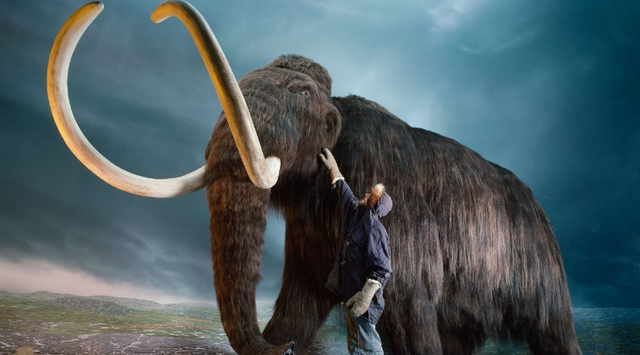 家中大小宝|“物竞天择，适者生存”！大自然不断“淘汰”物种，是它太残酷？