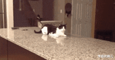 学姐说育儿|“兄弟们，我这是不是要截肢啊...”连腿都截掉最好！！