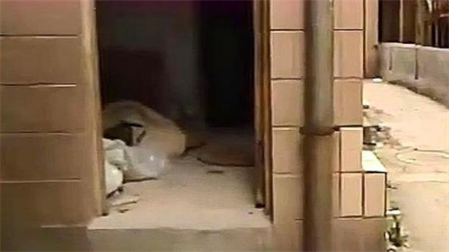四川“下水道现尸案”:因为同一句话,凶手赖兴发杀害3人